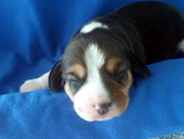 Martina Girl 3 Side 1 Week